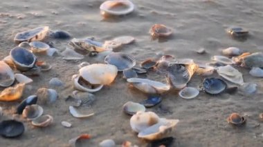 Deniz sabah plaj üzerinde gündoğumu