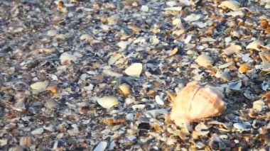 Deniz sabah plaj üzerinde gündoğumu