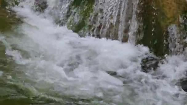Eau bouillante d'une rivière de montagne dans les montagnes en été 