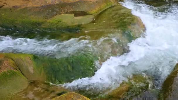 Boiling Water Mountain River Mountains Summer — Stock Video