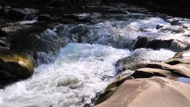 Agua Hirviendo Del Río Montañoso Las Montañas Verano — Vídeos de Stock