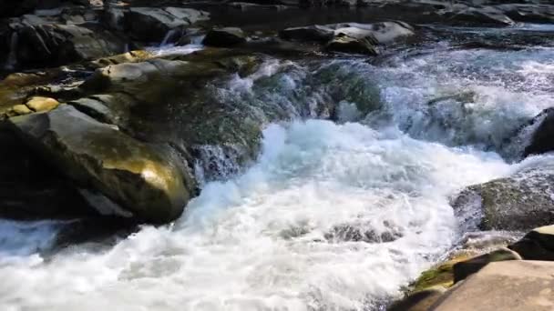 Kokande Vatten Från Bergsflod Bergen Sommaren — Stockvideo