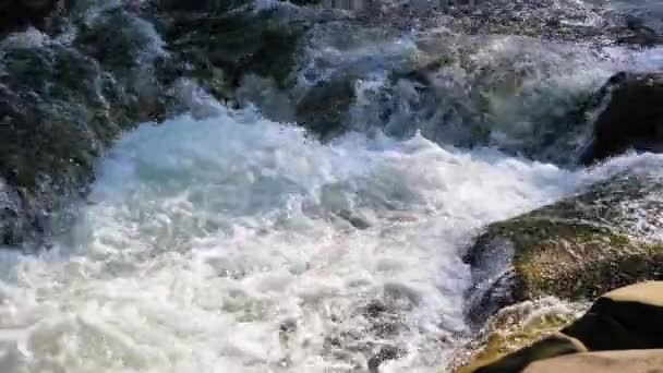 Eau bouillante d'une rivière de montagne dans les montagnes en été 