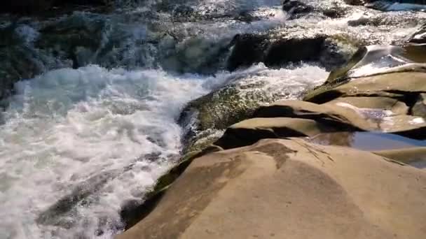 Eau bouillante d'une rivière de montagne dans les montagnes en été 