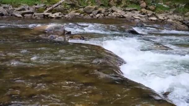 Wrząca Woda Górskiej Rzeki Górach Latem — Wideo stockowe