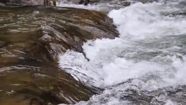 Kokande Vatten Från Bergsflod Bergen Sommaren — Stockvideo