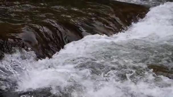 Eau bouillante d'une rivière de montagne dans les montagnes en été 
