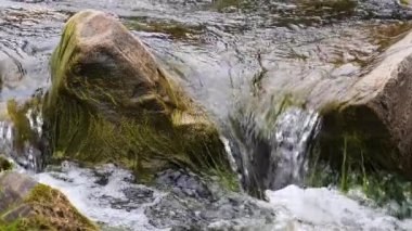 Yazın dağlarda bir dağ nehrinin kaynayan suları