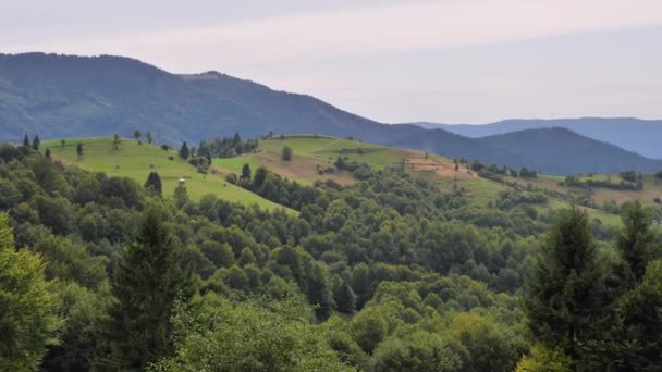 Kokande Vatten Från Bergsflod Bergen Sommaren — Stockvideo