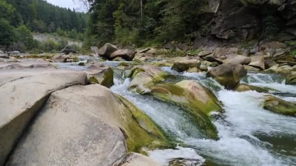 Yazın Dağlarda Bir Dağ Nehrinin Kaynayan Suları — Stok video
