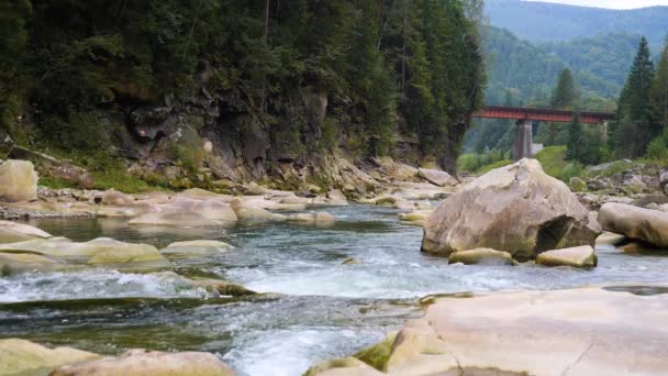Кипляча Вода Гірської Річки Горах Влітку — стокове відео