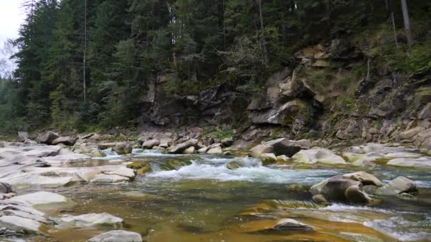 Agua Hirviendo Del Río Montañoso Las Montañas Verano — Vídeo de stock