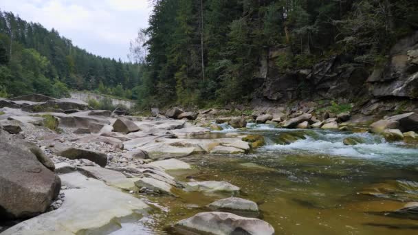 夏に山の川の水を沸かす — ストック動画