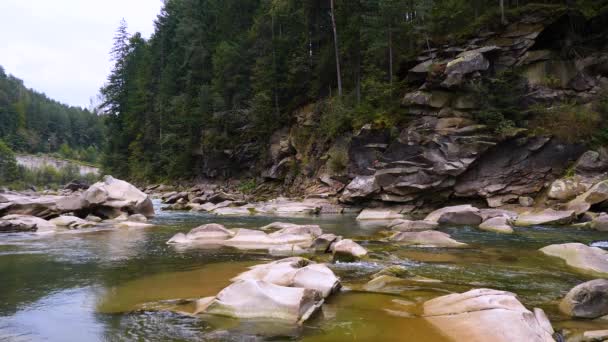 Siedendes Wasser Eines Gebirgsflusses Den Bergen Sommer — Stockvideo
