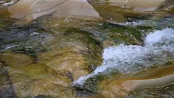 Kokend Water Van Een Berg Rivier Bergen Zomer — Stockvideo