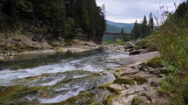 Wrząca Woda Górskiej Rzeki Górach Latem — Wideo stockowe