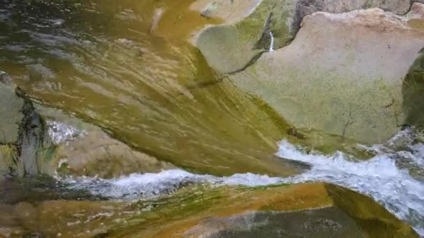 山中一条山河的水沸腾了 — 图库视频影像