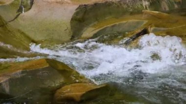 Yazın dağlarda bir dağ nehrinin kaynayan suları