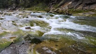 Yazın dağlarda bir dağ nehrinin kaynayan suları