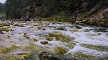 Yazın dağlarda bir dağ nehrinin kaynayan suları