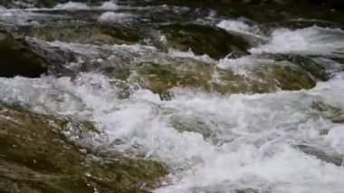 Yazın dağlarda bir dağ nehrinin kaynayan suları