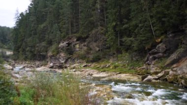 Yazın dağlarda bir dağ nehrinin kaynayan suları