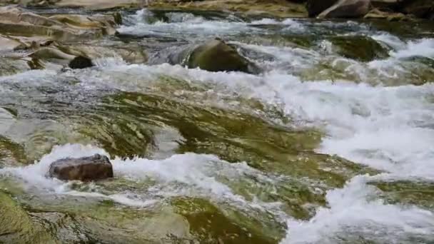 夏に山の川の水を沸かす — ストック動画