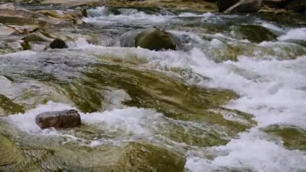 Agua Hirviendo Del Río Montañoso Las Montañas Verano — Vídeo de stock