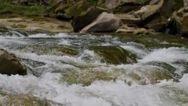 Siedendes Wasser Eines Gebirgsflusses Den Bergen Sommer — Stockvideo