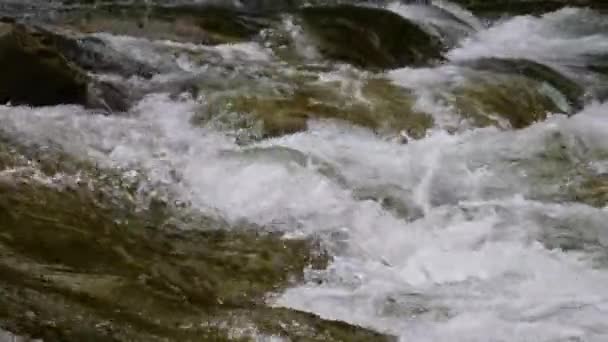 Кипляча Вода Гірської Річки Горах Влітку — стокове відео