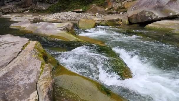 Siedendes Wasser Eines Gebirgsflusses Den Bergen Sommer — Stockvideo