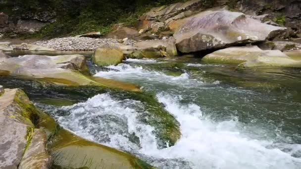 Siedendes Wasser Eines Gebirgsflusses Den Bergen Sommer — Stockvideo