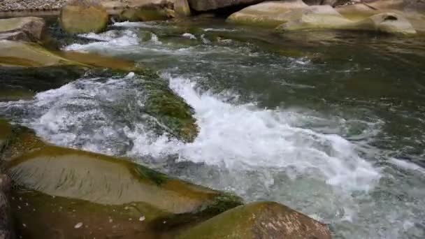 Siedendes Wasser Eines Gebirgsflusses Den Bergen Sommer — Stockvideo