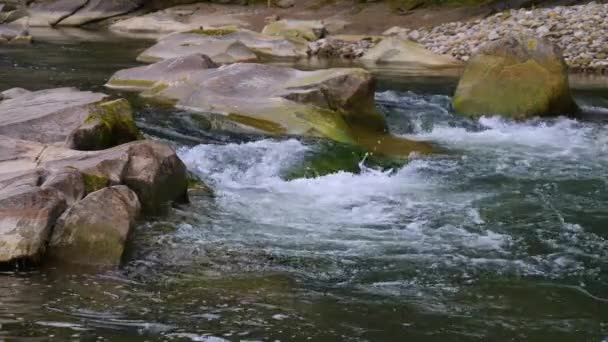 Yazın Dağlarda Bir Dağ Nehrinin Kaynayan Suları — Stok video