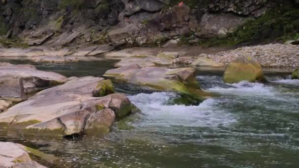Yazın Dağlarda Bir Dağ Nehrinin Kaynayan Suları — Stok video