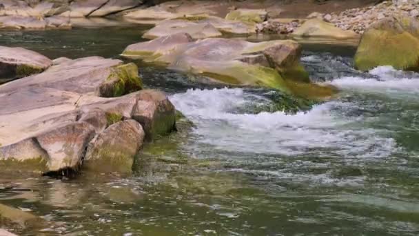 Кипляча Вода Гірської Річки Горах Влітку — стокове відео