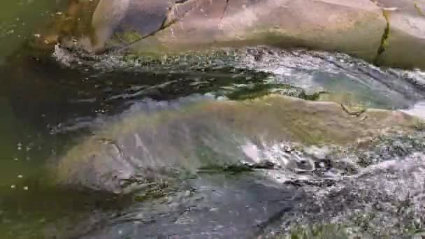 Agua Hirviendo Del Río Montañoso Las Montañas Verano — Vídeos de Stock