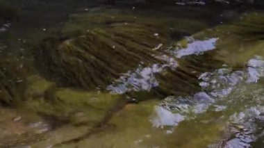 Yazın dağlarda bir dağ nehrinin kaynayan suları