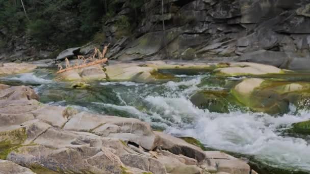 Agua Hirviendo Del Río Montañoso Las Montañas Verano — Vídeo de stock