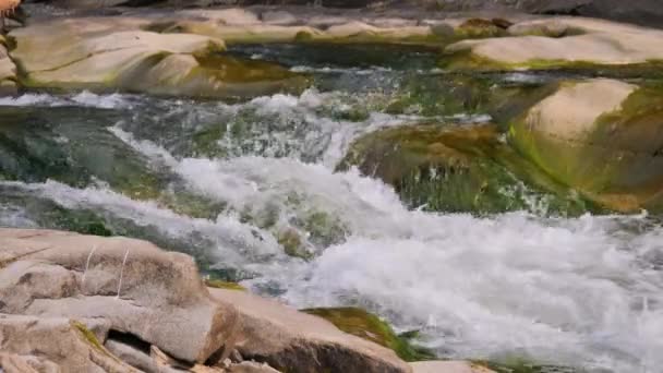 Yazın Dağlarda Bir Dağ Nehrinin Kaynayan Suları — Stok video