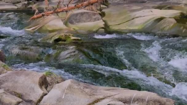 Agua Hirviendo Del Río Montañoso Las Montañas Verano — Vídeos de Stock