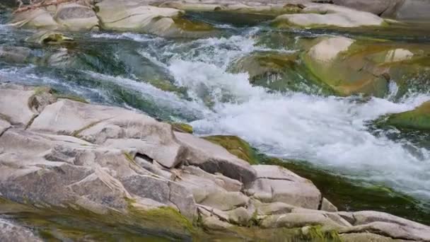 Siedendes Wasser Eines Gebirgsflusses Den Bergen Sommer — Stockvideo