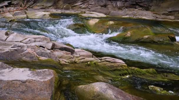 Agua Hirviendo Del Río Montañoso Las Montañas Verano — Vídeo de stock