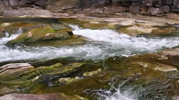 Agua Hirviendo Del Río Montañoso Las Montañas Verano — Vídeo de stock