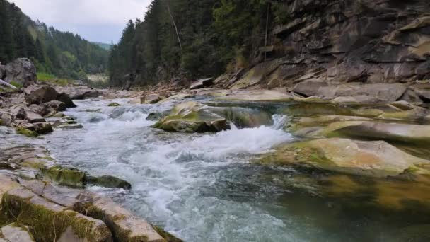 Boiling Water Mountain River Mountains Summer — Stock Video