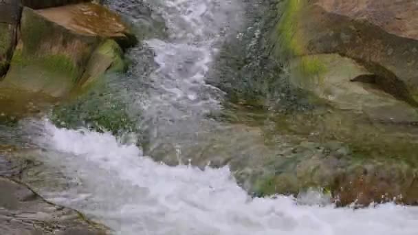 Kokend Water Van Een Berg Rivier Bergen Zomer — Stockvideo