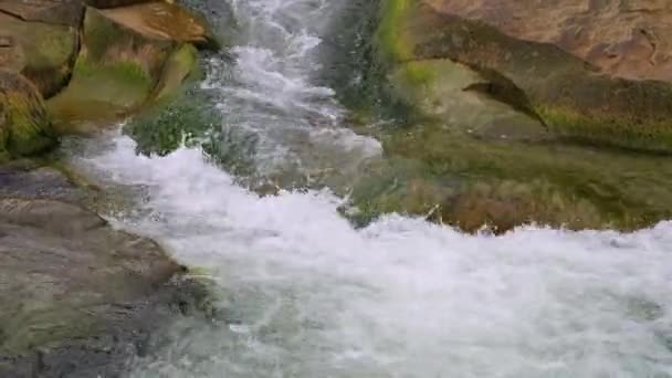 Siedendes Wasser Eines Gebirgsflusses Den Bergen Sommer — Stockvideo