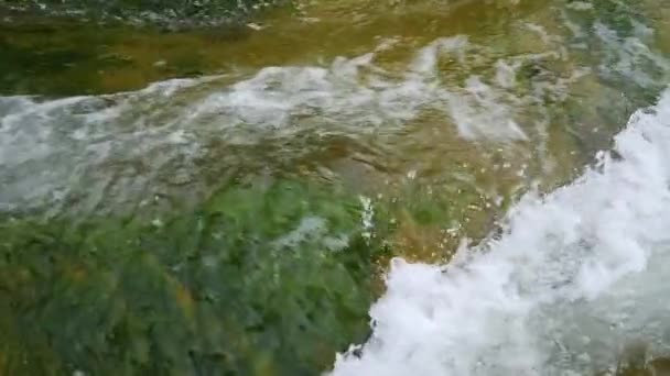 Agua Hirviendo Del Río Montañoso Las Montañas Verano — Vídeo de stock