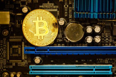 Bilgisayar devre kartı üzerinde altın Bitcoin Cryptocurrency 