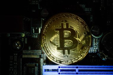 Bilgisayar devre kartı üzerinde altın Bitcoin Cryptocurrency 